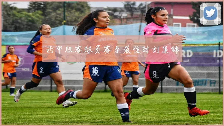 西甲联赛球员赛季最佳时刻集锦