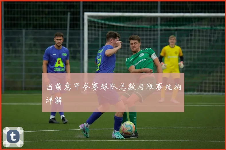 当前意甲参赛球队总数与联赛结构详解